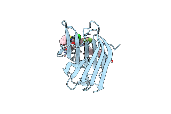 6QLP image