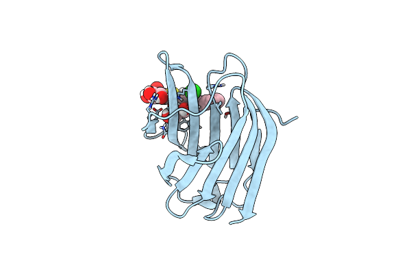 6QLS image
