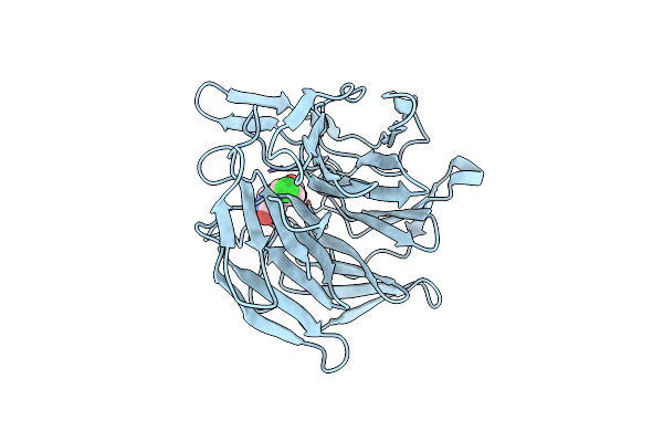 6QMC image