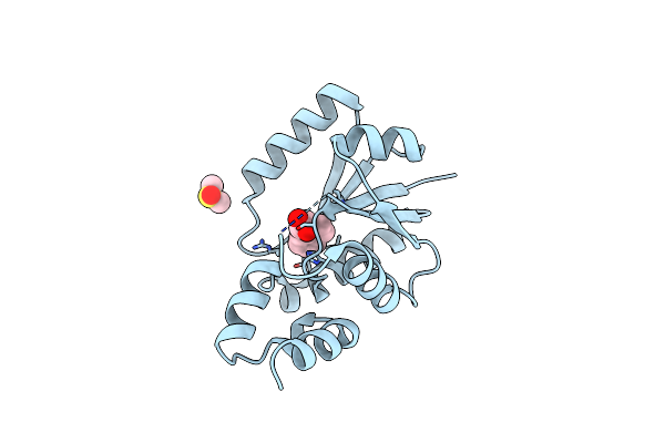 6QMF image