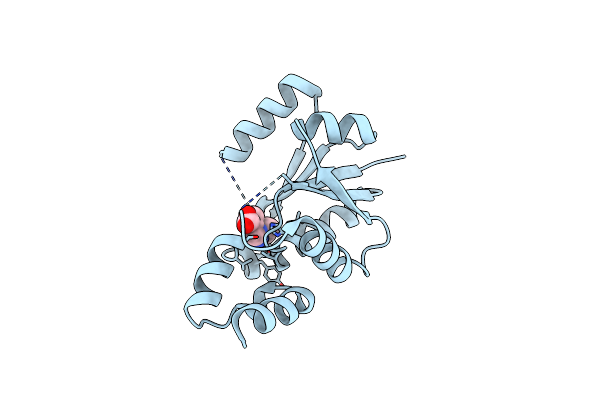 6QMI image