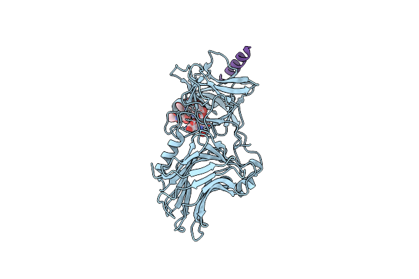 6QNS image