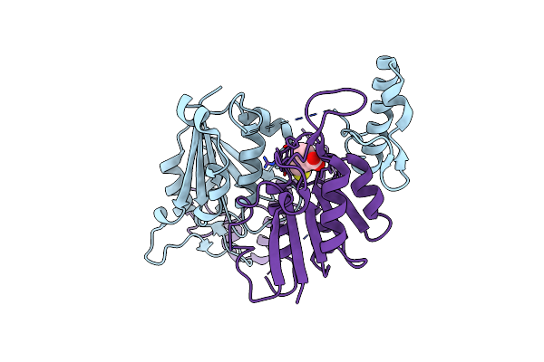 6QOE image