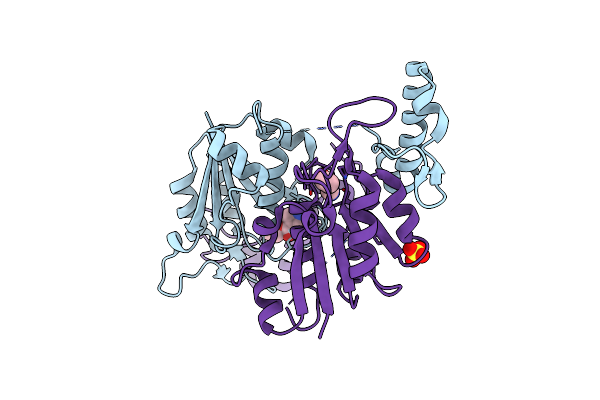 6QOS image