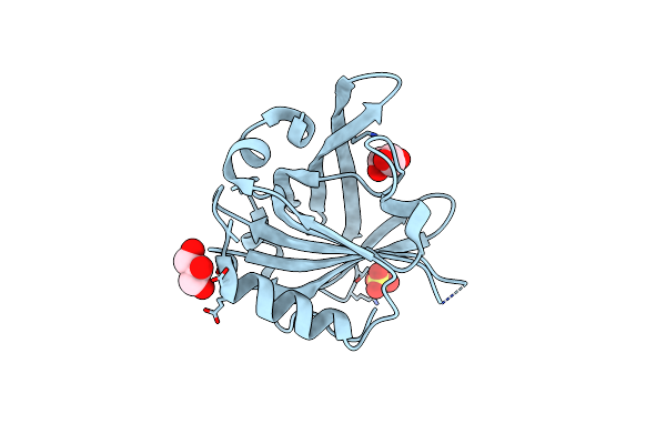 6QPD image
