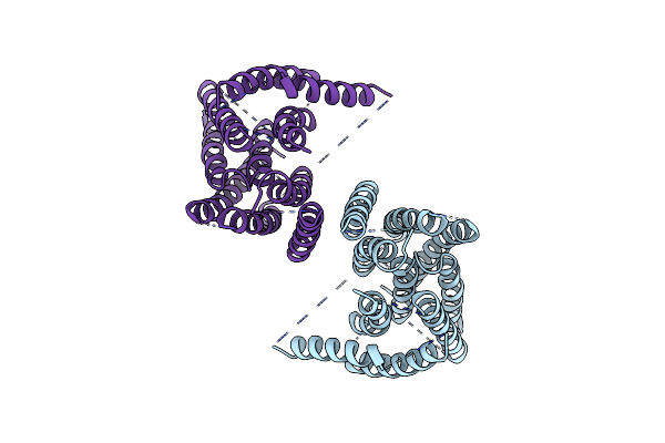 6QPI image