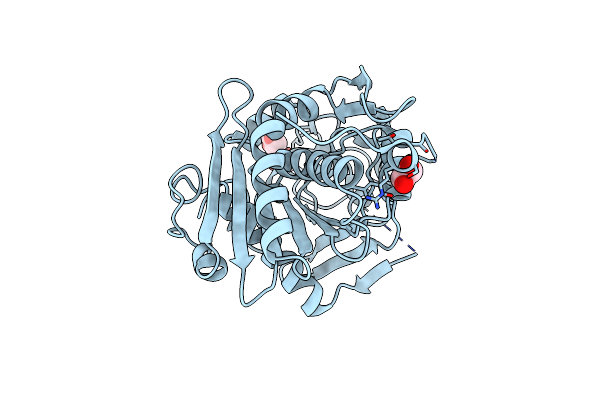 6QPP image