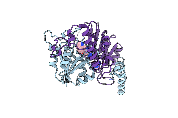 6QQS image