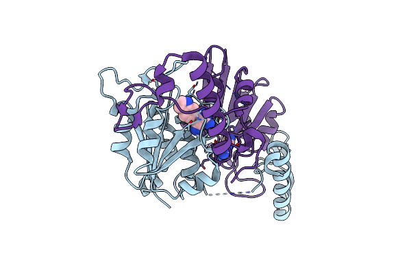 6QQU image