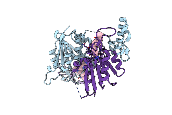 6QR7 image