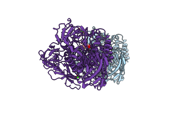 6QUB image