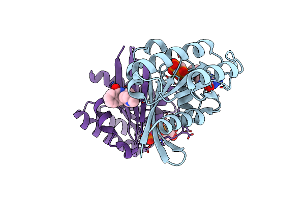 6QUV image