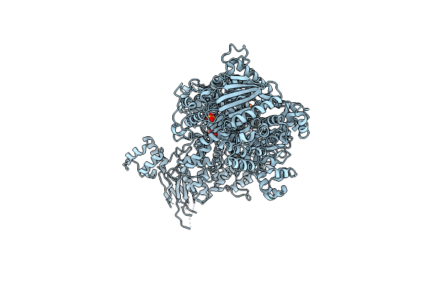 6QWS image