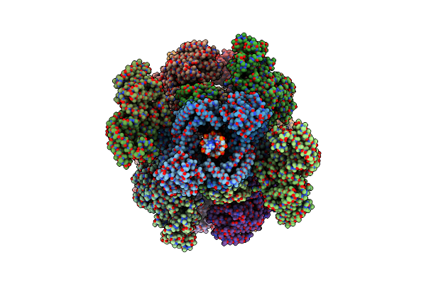 6QXT image