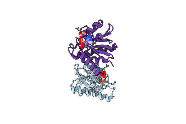 6R0F image