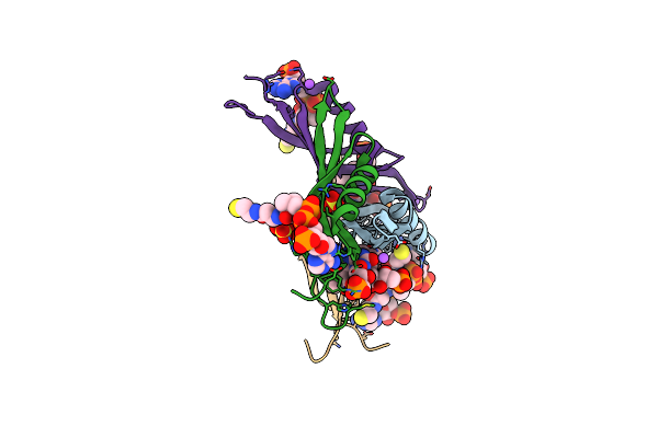 6R1E image