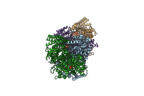 6R2B image