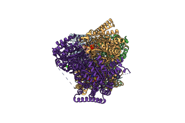 6R2C image