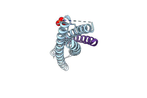 6R2G image