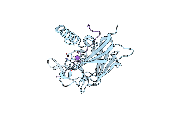 6R2I image