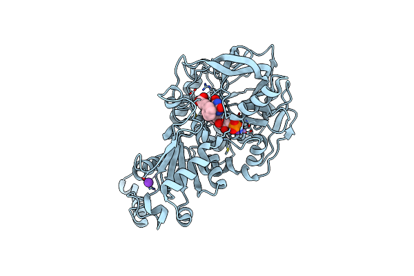 6R2P image