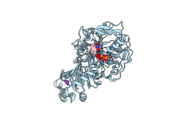 6R33 image