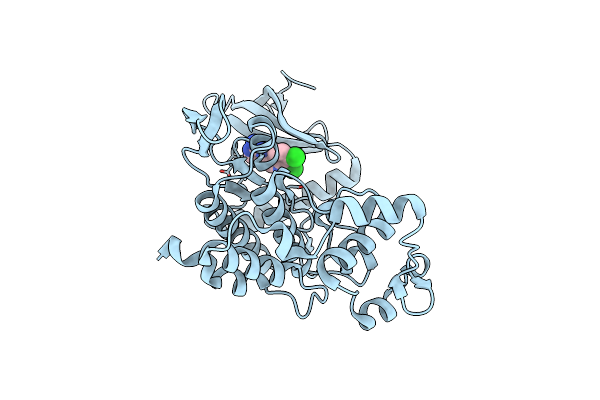 6R3D image