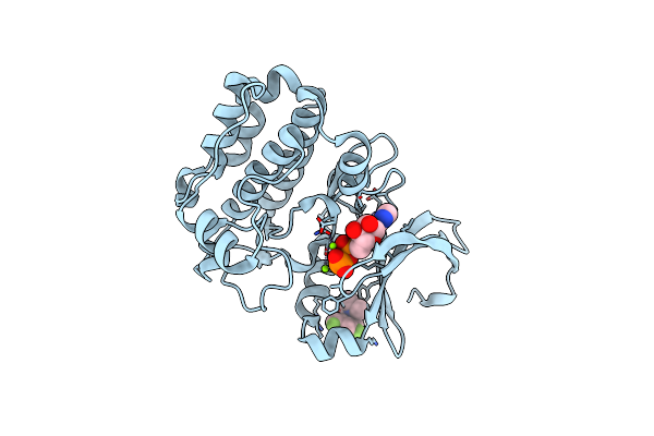 6R4B image