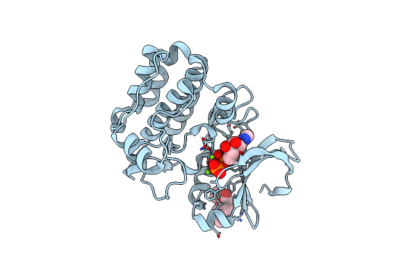 6R4C image
