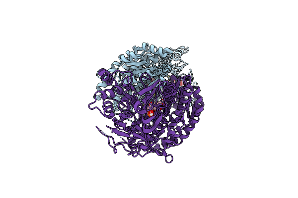 6R4E image