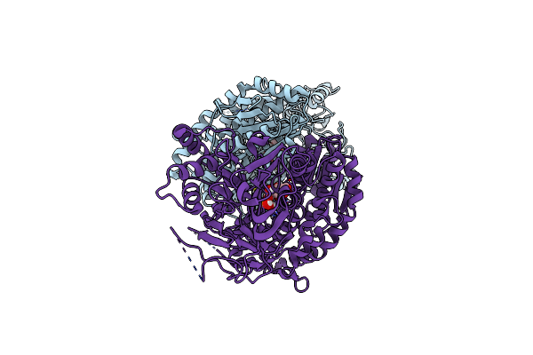 6R4F image