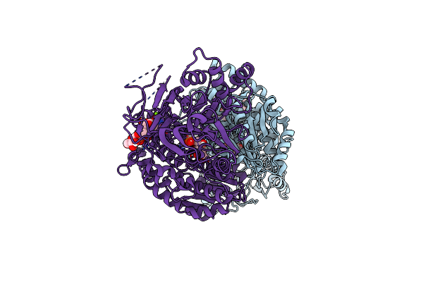 6R4G image