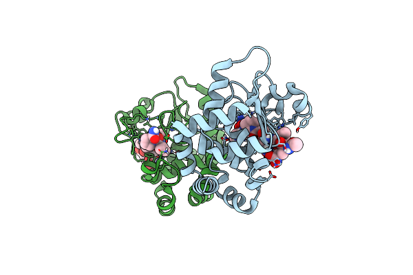 6R5B image