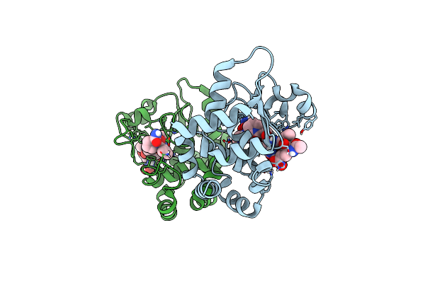 6R5C image