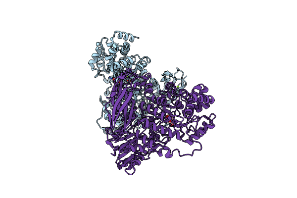 6R5P image