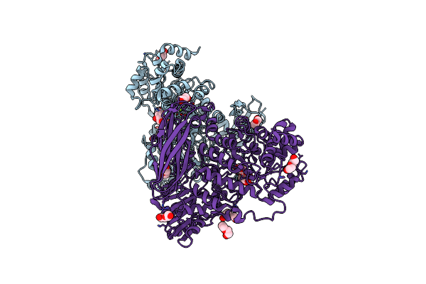 6R5R image