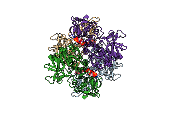 6R8B image