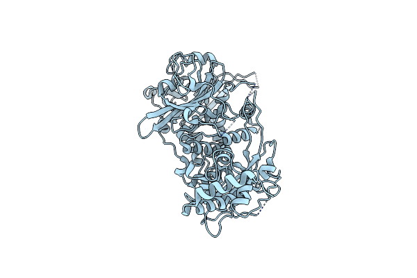 6R9I image