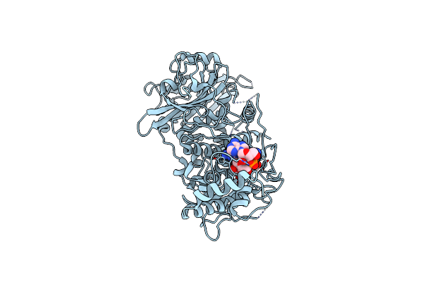 6R9O image