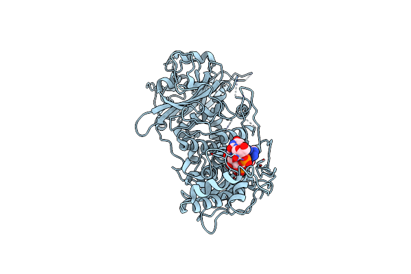 6R9P image