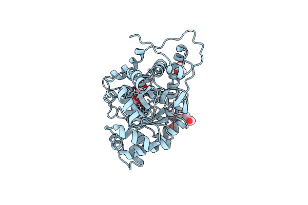 6R9V image