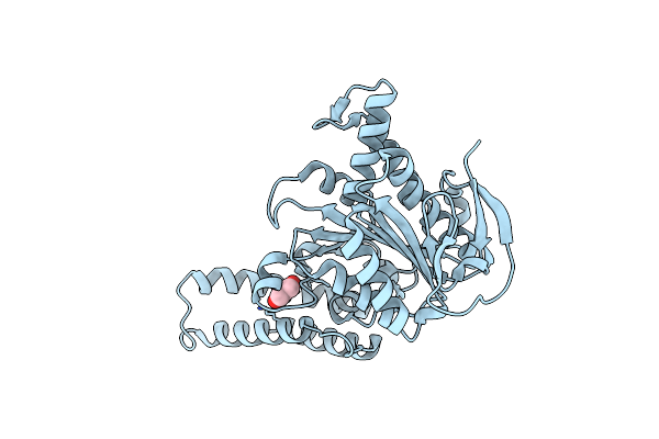 6RAE image