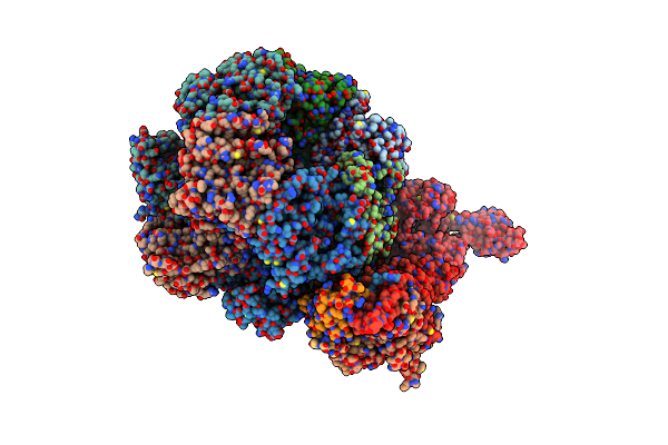 6RAX image