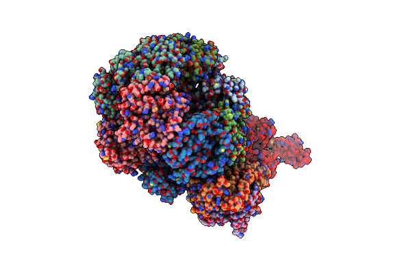 6RAY image
