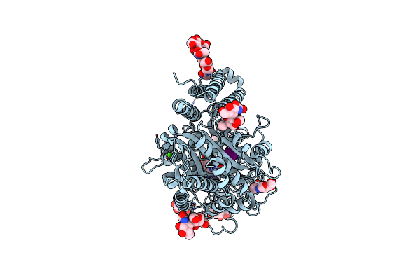 6RBC image