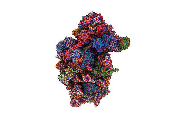 6RBD image