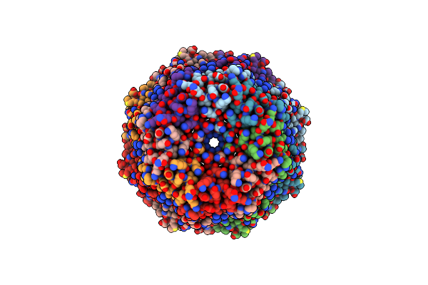 6RBG image