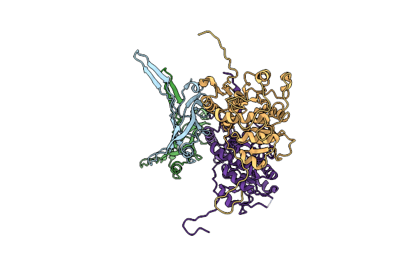 6RBN image