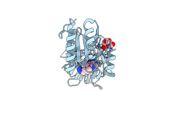 6RBP image