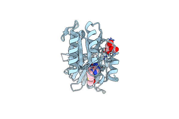 6RBQ image